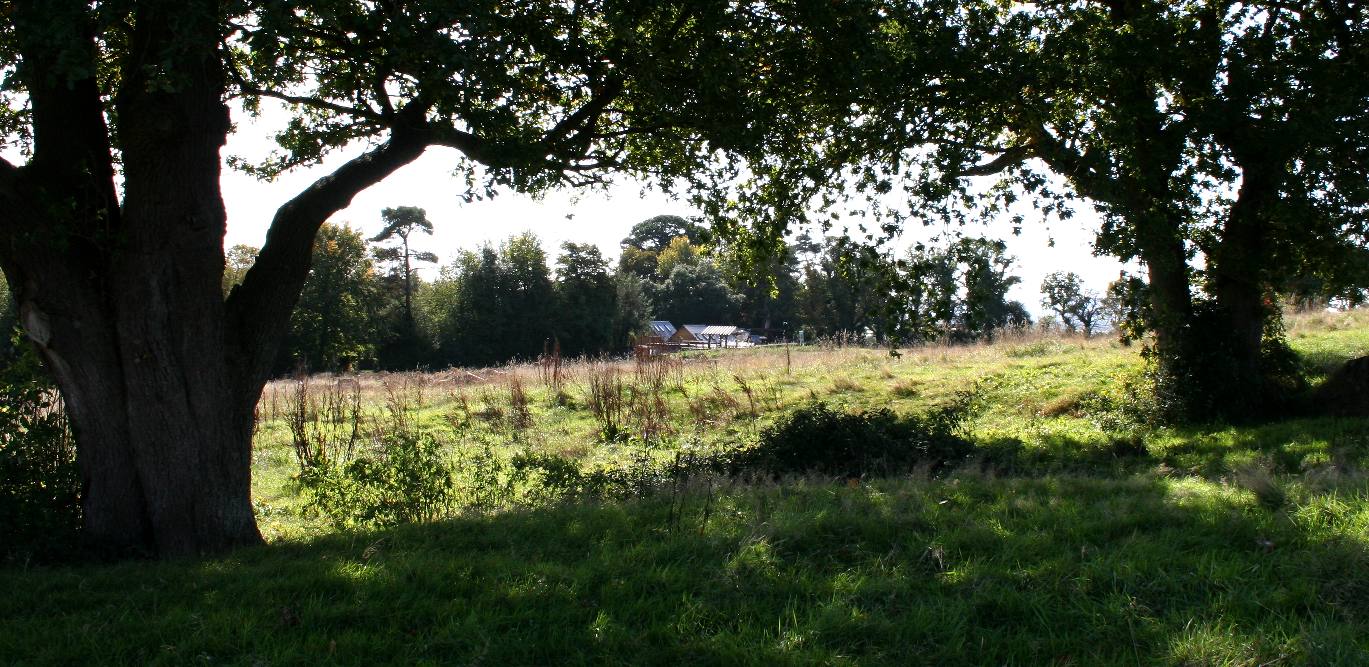 The British countryside and a heritage asset about to be violated