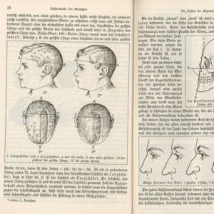 Compulsory Eugenics measuring and grading was introduced in schools.