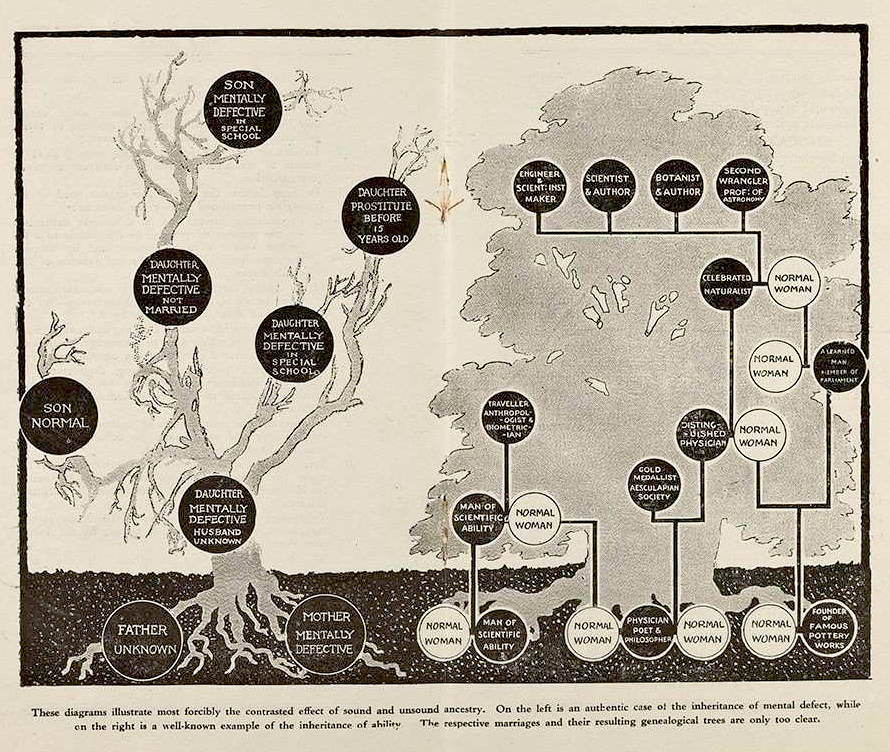 Poster illustrating the effect of mental defect against inheritance of ability.