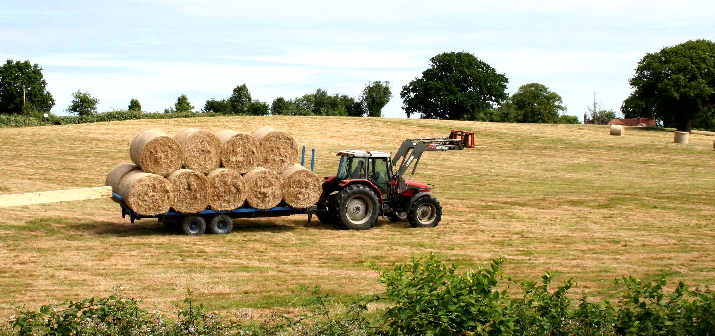 Farming in Sussex, making hay to feed the animals in winter